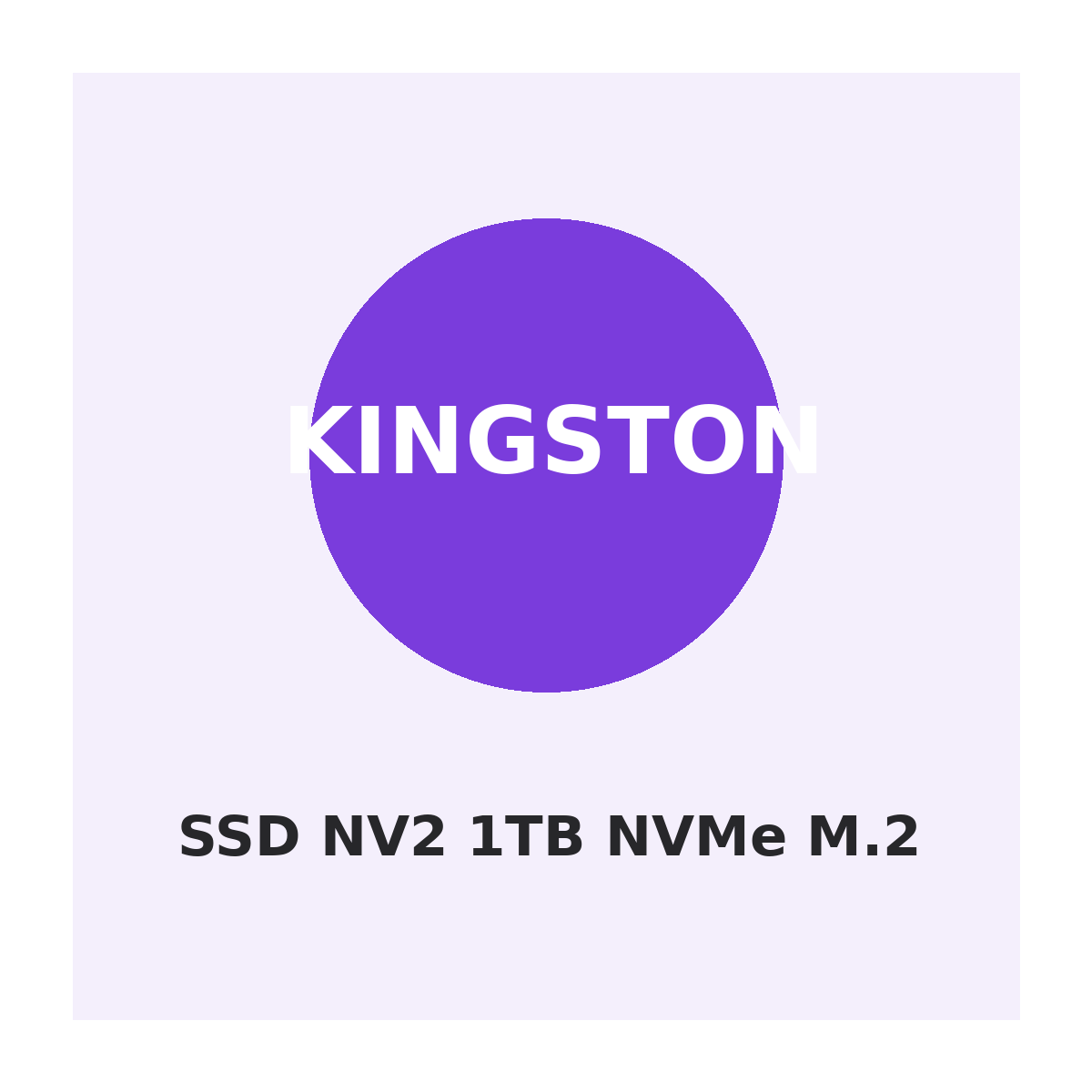 Kingston SSD NV2 1TB NVMe M.2